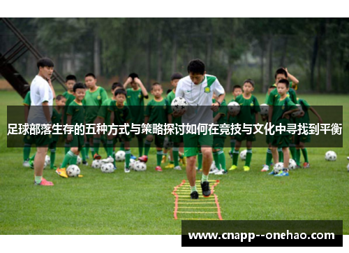 足球部落生存的五种方式与策略探讨如何在竞技与文化中寻找到平衡