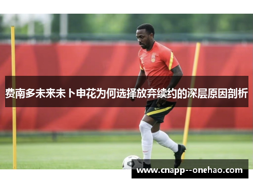 费南多未来未卜申花为何选择放弃续约的深层原因剖析