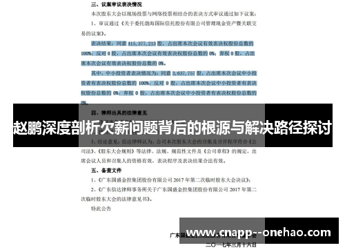 赵鹏深度剖析欠薪问题背后的根源与解决路径探讨 赵鹏深度剖析欠薪问题背后的根源与解决路径探讨