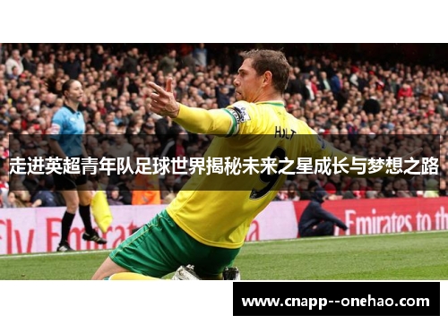 走进英超青年队足球世界揭秘未来之星成长与梦想之路 走进英超青年队足球世界揭秘未来之星成长与梦想之路