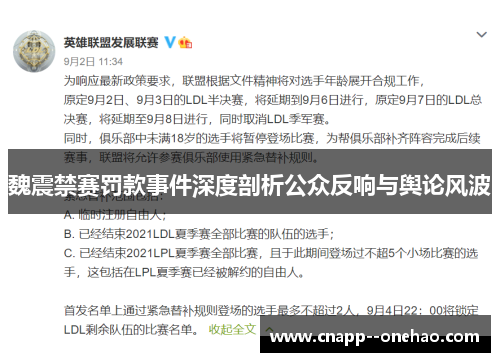 魏震禁赛罚款事件深度剖析公众反响与舆论风波 魏震禁赛罚款事件深度剖析公众反响与舆论风波